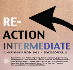 REACTION INTERMEDIATE 2012